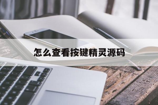怎么查看按键精灵源码(怎么查看按键精灵源码信息)