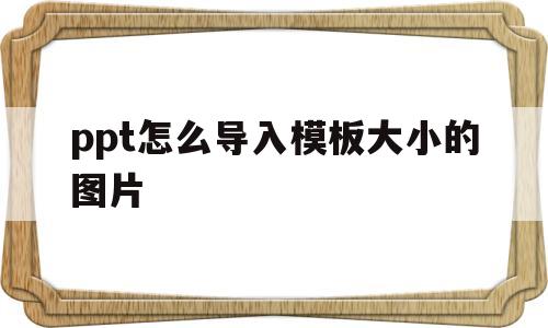ppt怎么导入模板大小的图片(ppt怎么导入模板大小的图片和文字)