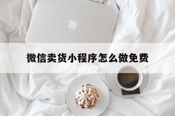 微信卖货小程序怎么做免费(微信卖货小程序怎么弄)