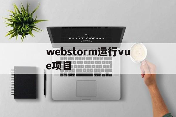 webstorm运行vue项目(webstorm运行vue项目,如何新增一个config文件)