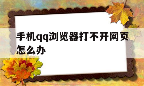 手机qq浏览器打不开网页怎么办(手机浏览器有的网页进不去怎么办)