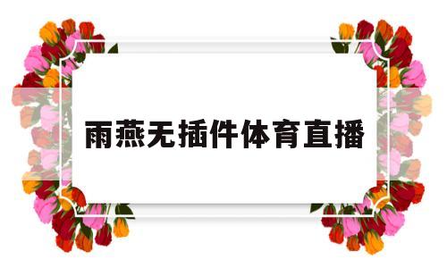 雨燕无插件体育直播(jrs直播无插件直播极速体育)