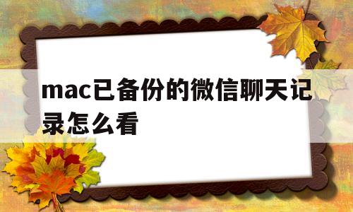 mac已备份的微信聊天记录怎么看(mac已备份的微信聊天记录怎么看不到)