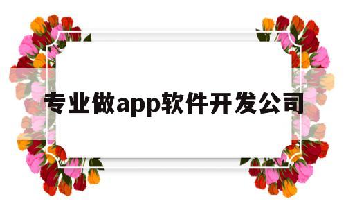 专业做app软件开发公司(专业做app软件开发公司规模)