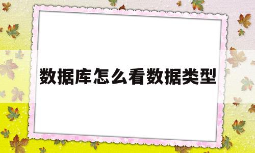 数据库怎么看数据类型(数据库中怎么查看数据类型)