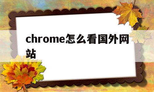 chrome怎么看国外网站(chrome怎么浏览国外网站)