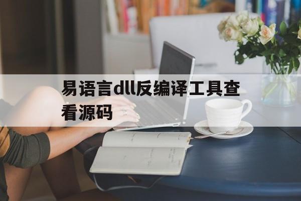 易语言dll反编译工具查看源码(dll 易语言 反汇编易语言 p2p)