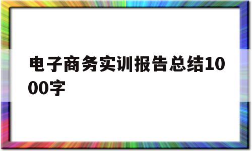 电子商务实训报告总结1000字的简单介绍