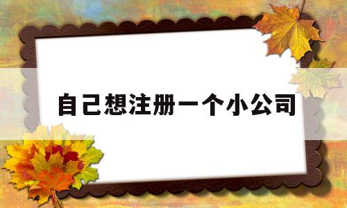 自己想注册一个小公司(自己想注册一个小公司需要多少钱)