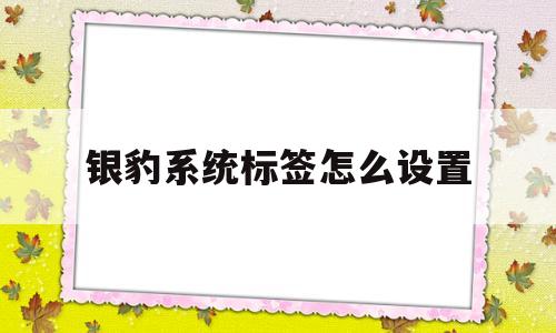 银豹系统标签怎么设置(银豹系统标签怎么设置颜色)