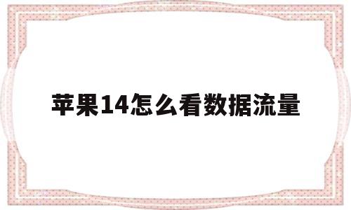 苹果14怎么看数据流量(苹果14怎么看数据流量使用)