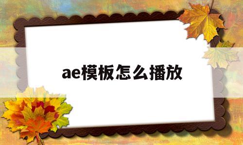 ae模板怎么播放(ae模板怎么播放预览)