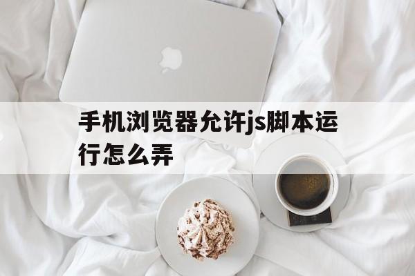 手机浏览器允许js脚本运行怎么弄(手机浏览器允许javascript)