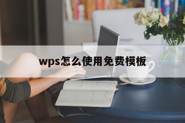 wps怎么使用免费模板(wps怎么使用免费模板软件)
