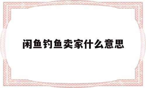闲鱼钓鱼卖家什么意思的简单介绍
