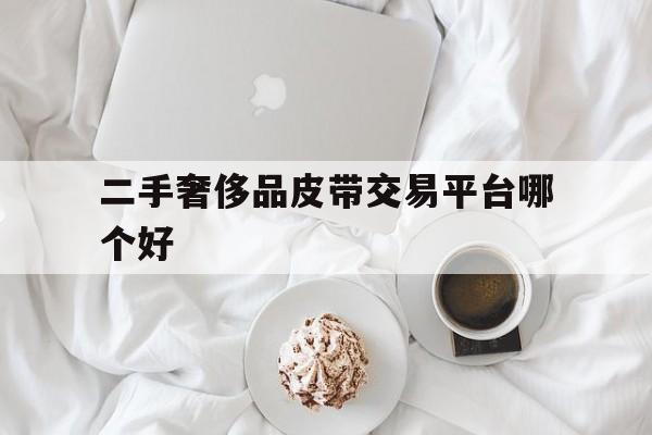 二手奢侈品皮带交易平台哪个好(二手奢侈品皮带交易平台哪个好卖)