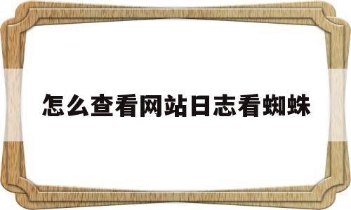 怎么查看网站日志看蜘蛛(怎么查看网站日志看蜘蛛浏览记录)