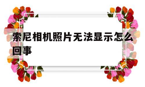 索尼相机照片无法显示怎么回事(索尼相机照片无法显示怎么回事新拍的就没事)