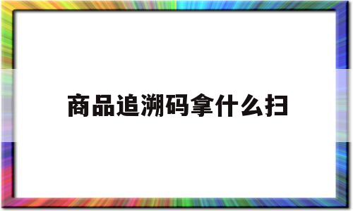 商品追溯码拿什么扫(商品追溯码是什么意思)