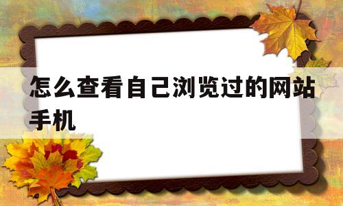 怎么查看自己浏览过的网站手机的简单介绍