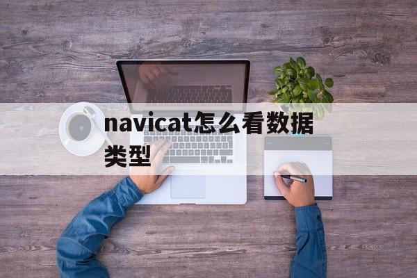 navicat怎么看数据类型(navicat怎么查看字段类型)