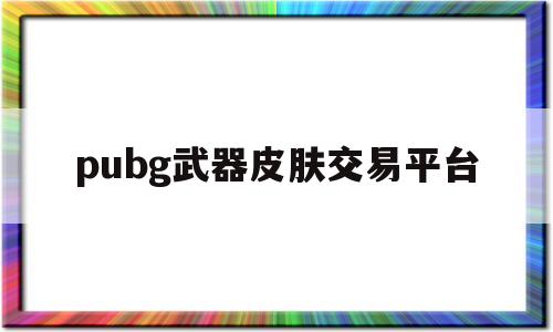 pubg武器皮肤交易平台(pubg的武器皮肤在哪卖哦)