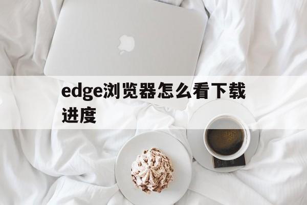 包含edge浏览器怎么看下载进度的词条