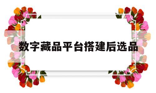 数字藏品平台搭建后选品的简单介绍