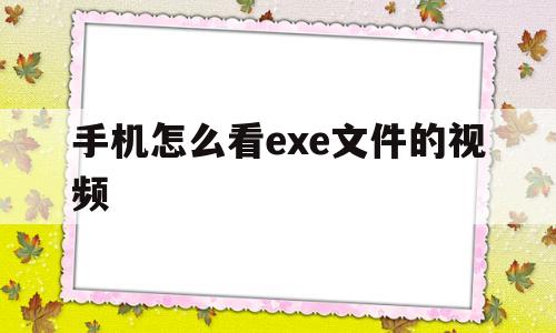 手机怎么看exe文件的视频(手机怎么看exe文件的视频教程)