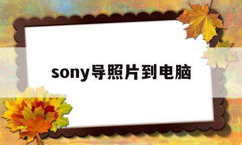 sony导照片到电脑(sony照片怎么传到电脑)