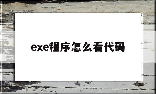 exe程序怎么看代码(如何查看exe程序源代码)