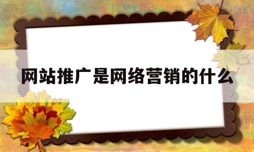 网站推广是网络营销的什么(网址推广是网络营销最基本职能之一)