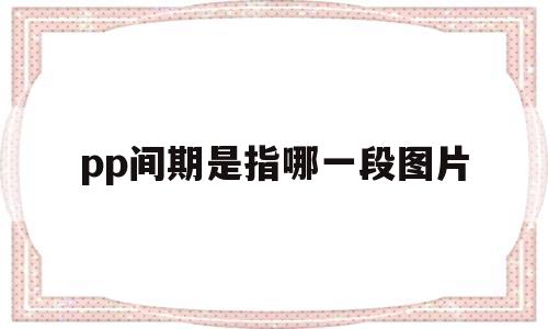 关于pp间期是指哪一段图片的信息