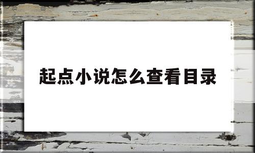 起点小说怎么查看目录(起点app怎么查看目录)