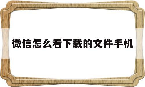 微信怎么看下载的文件手机(微信下载的文件撤回了怎么看)