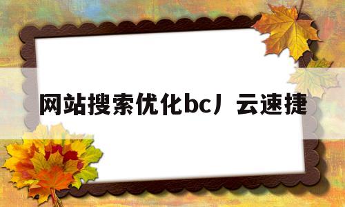 网站搜索优化bc丿云速捷的简单介绍