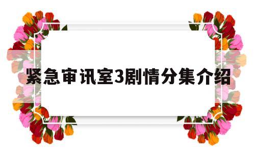 紧急审讯室3剧情分集介绍(紧急审讯室会有第4集在哪看)