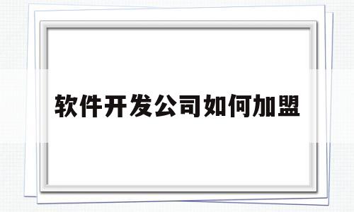 软件开发公司如何加盟(软件开发公司如何加盟代理)