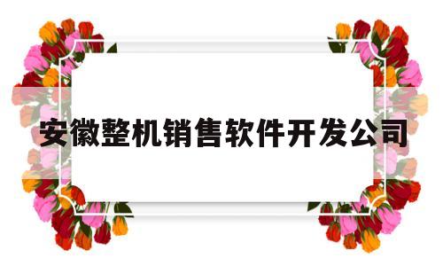 安徽整机销售软件开发公司(安徽整机销售软件开发公司有哪些)