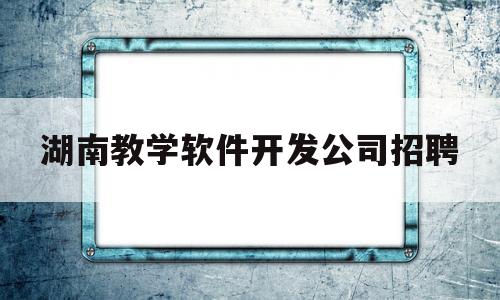 湖南教学软件开发公司招聘(湖南教学软件开发公司招聘电话)