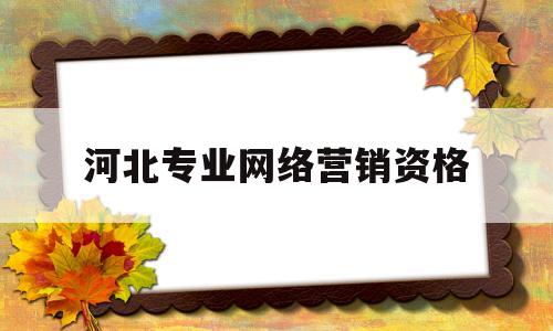 河北专业网络营销资格(河北专业网络营销资格考试时间)