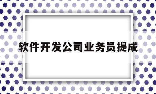 软件开发公司业务员提成(软件开发公司业务员提成怎么算)