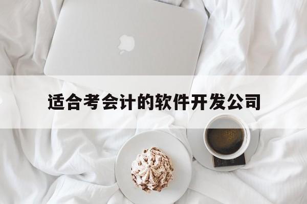 适合考会计的软件开发公司的简单介绍