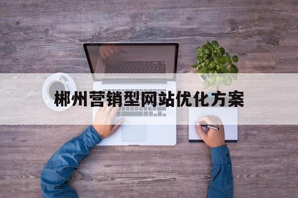 郴州营销型网站优化方案(营销型企业网站如何规划和建设)