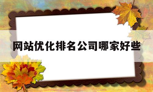 关于网站优化排名公司哪家好些的信息