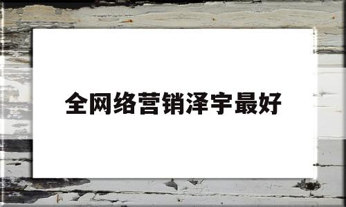 关于全网络营销泽宇最好的信息