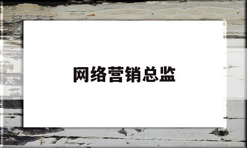 网络营销总监(网络营销总监的技能要求)