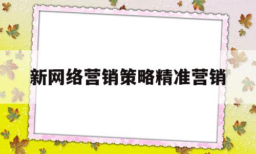 新网络营销策略精准营销(网络营销策略精准营销ppt)