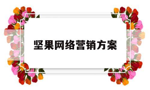 坚果网络营销方案(坚果网络营销方案怎么写)