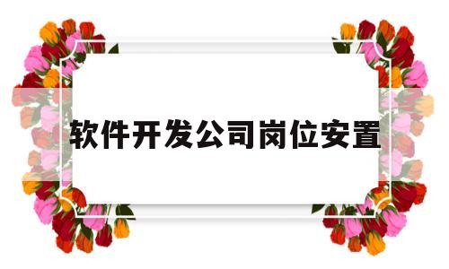 软件开发公司岗位安置(软件开发公司岗位安置方案)